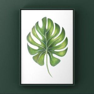 Large Monstera green leaf pencil draw art print